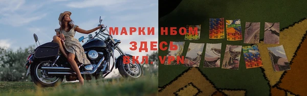 ECSTASY Алзамай