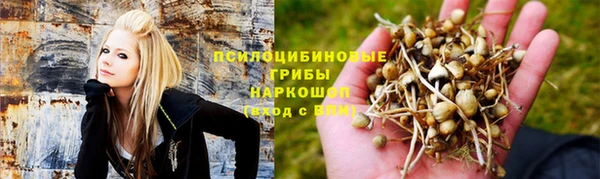 бошки Аркадак
