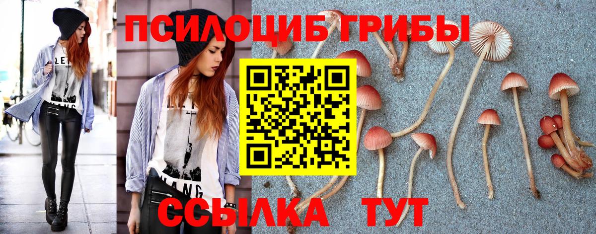 Псилоцибиновые грибы мицелий Можга